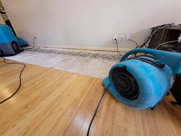 Reliable Basement Flood Cleanup contractor in Niles, IL by Hirex Water Damage
