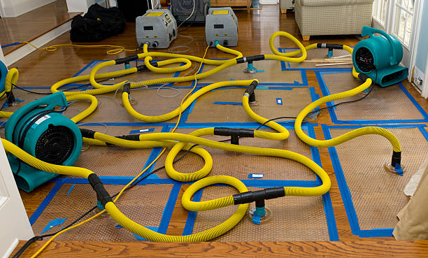 Professional Basement Flood Cleanup technician working in Niles, IL